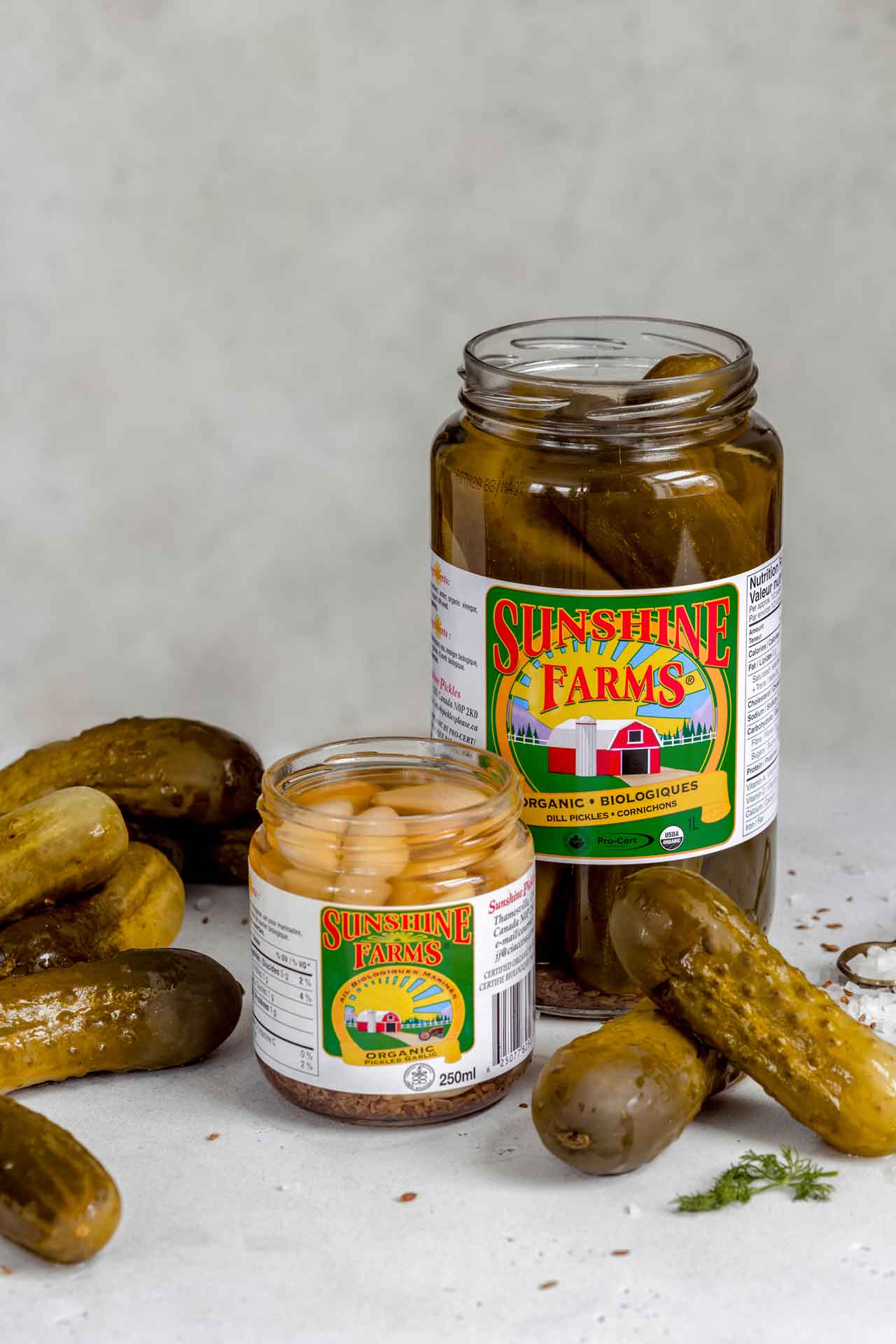 Organic pickles and garlic