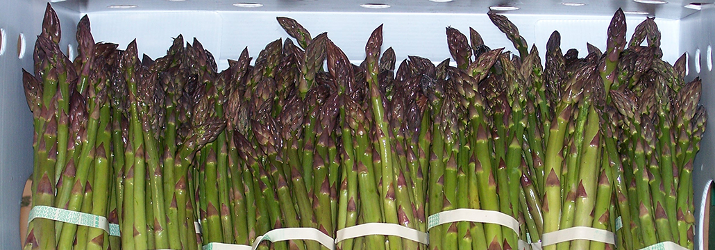 Featured image for “Asparagus Season has begun”