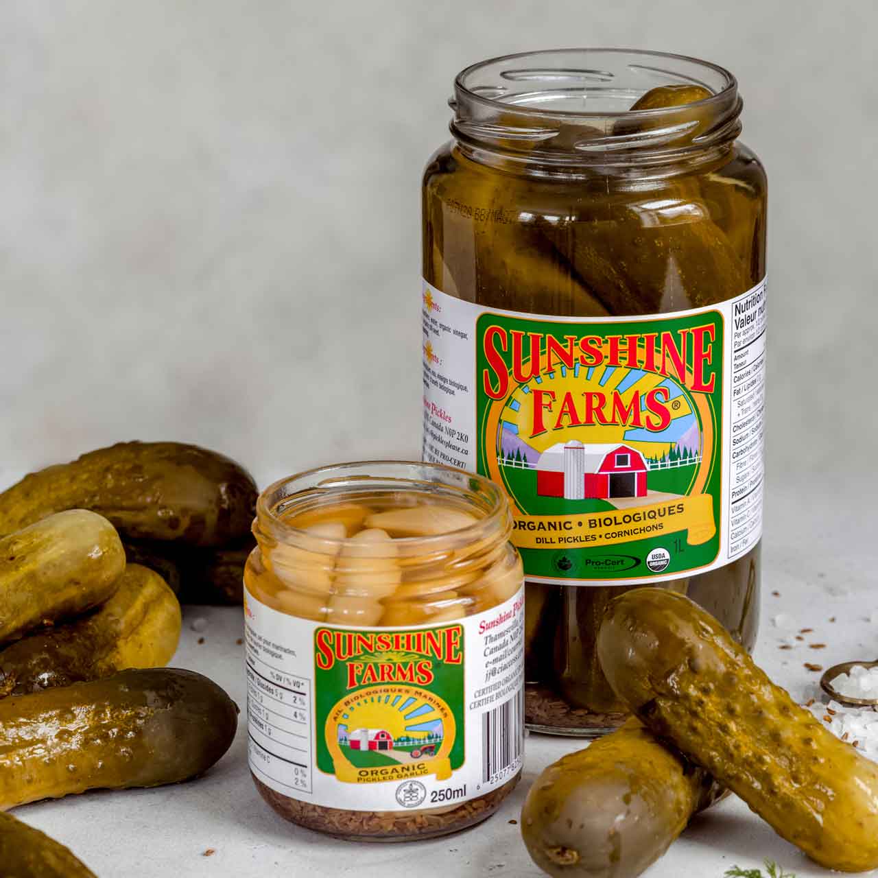 dill pickles and pickled garlic
